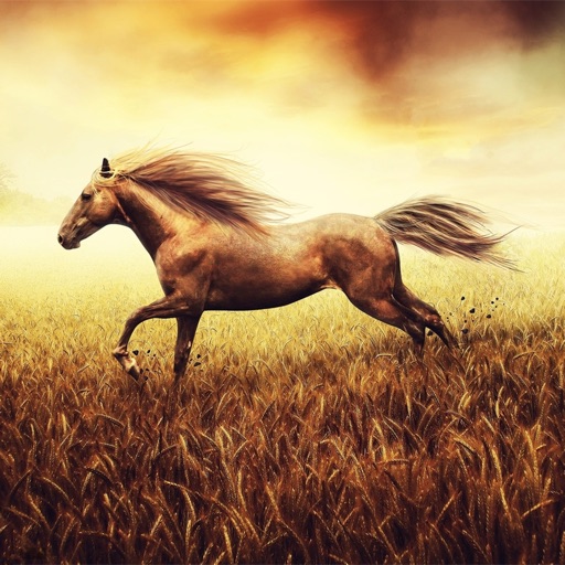 Spirit Horses Wallpapers HD-Art Pictures icon