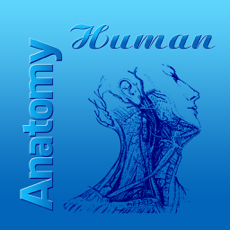 ‎Human Anatomy 2017