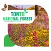 Tonto National Forest Travel Guide