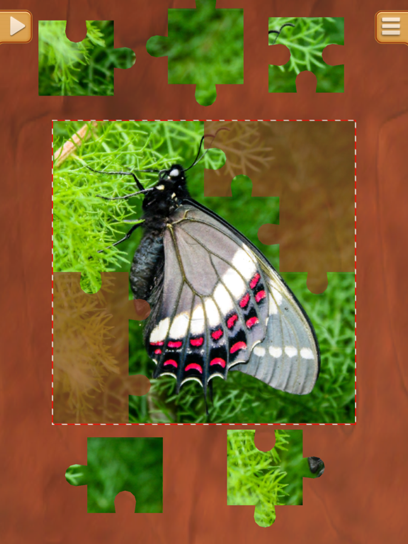 Butterfly Jigsaw Puzzles - Cool Puzzle Games iPad screenshot