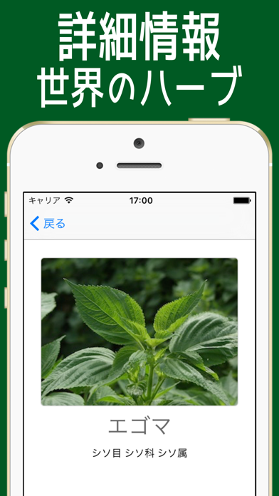 はーぶ図鑑 世界の品種 =ハーブ80種類=のおすすめ画像5