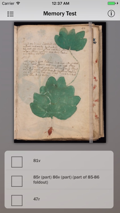 Voynich Manuscript Guide