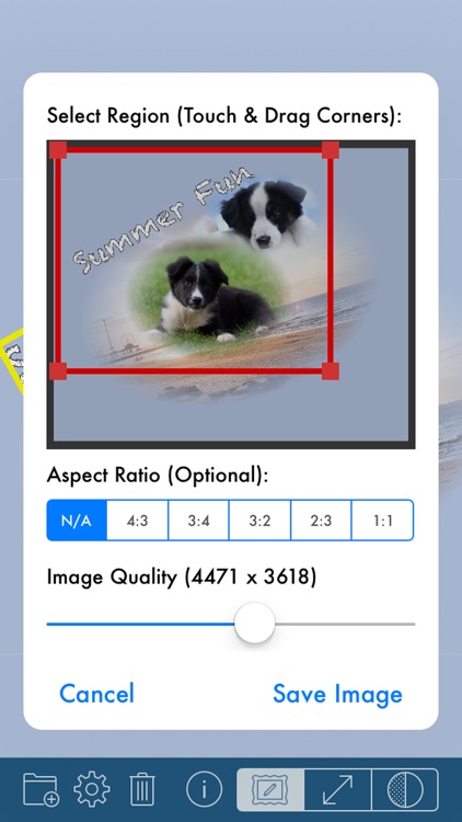 PhotoTangler - Best Collage Maker to Blend Photos screenshot-3