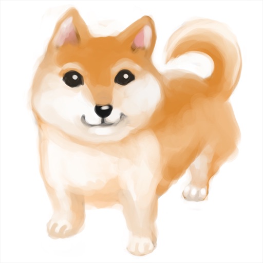 Shiba Dog