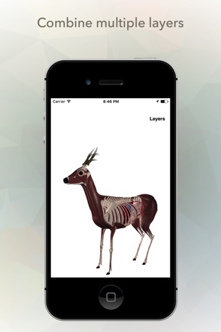 Deer Anatomy screenshot 4