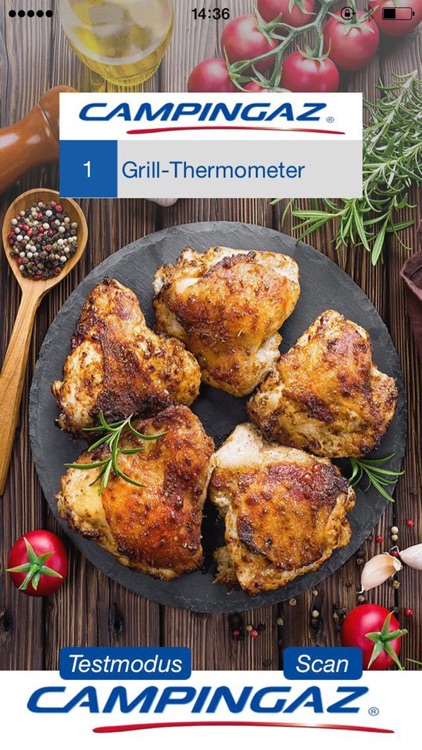 Campingaz Grill-Thermometer