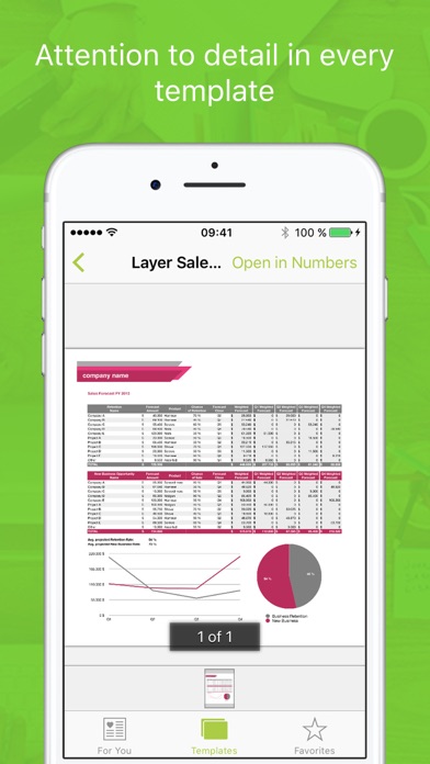 Templates for Numbers Professional Screenshot