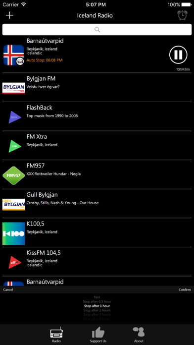 Screenshot #3 pour Icelandic Radio