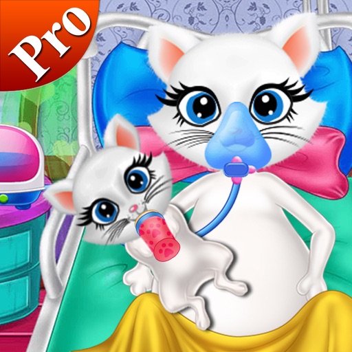 New Born Baby - Cat Pregnant icon