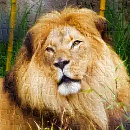Animal Photo Jigsaw Puzzle Games HD app icon