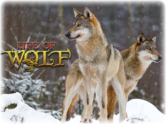 Игра Волк: волки охота симулятор жизни корма и расти