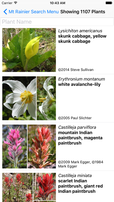 Screenshot #2 pour Mt Rainier Wildflowers