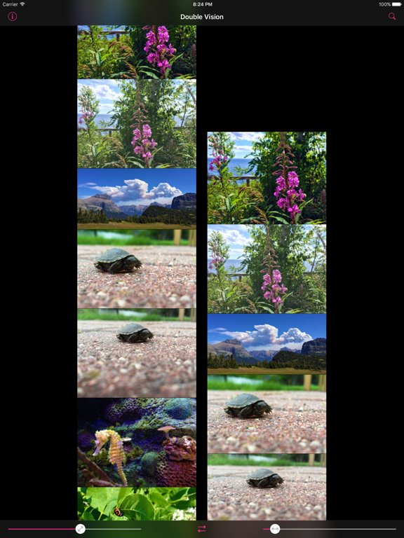 Screenshot #4 pour Double Vision