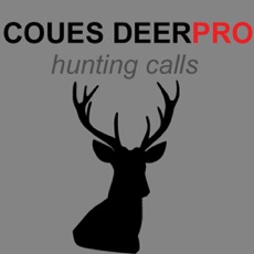 Activities of Coues Deer Calls & Coues Deer Sounds