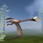 Pterosaur Flight Simulator 3D app download