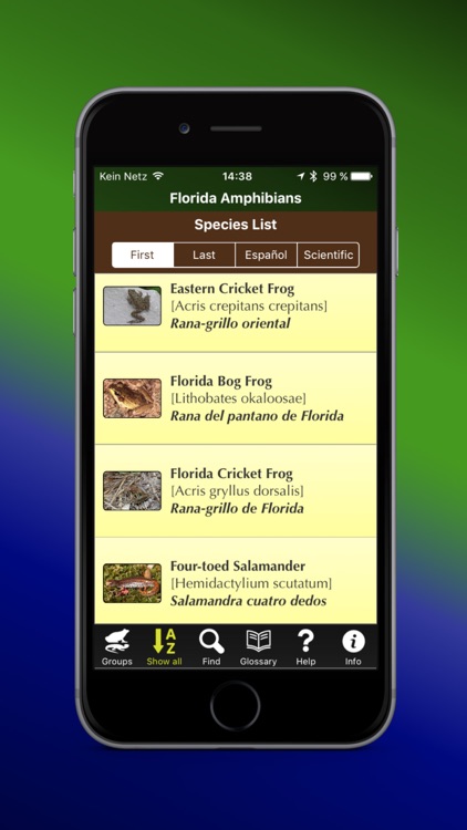 Florida Amphibians - Guide to Common Species