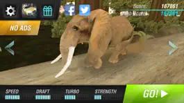 Game screenshot Animal Simulator - Free Safari Animals Running apk