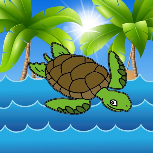 Turtle Shells Pro Icon