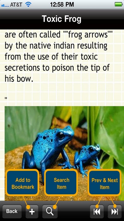 The Frogs Bible
