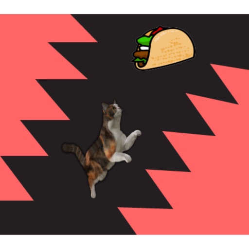 Gato De Taco! iOS App