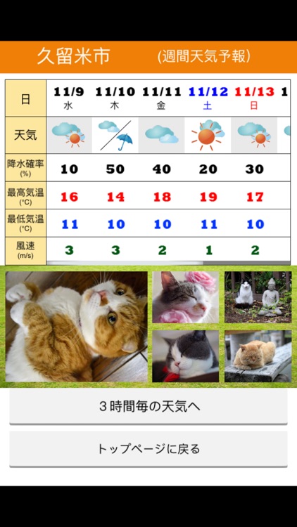 みんなのにゃんこ天気〜天気予報＋猫写真で毎日に少しほっこり〜 screenshot-3