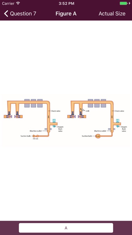 Anesthesia Comprehensive Review screenshot-3