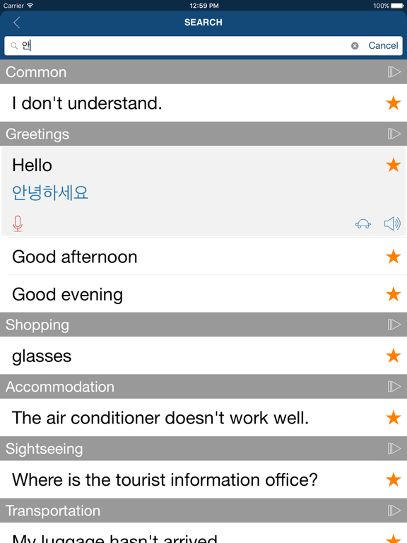 Learn Korean Phrases & Words iPad screenshot 4 - Reference app