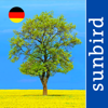 Alle Bäume Deutschland - 1000 Arten bestimmen - Mullen & Pohland GbR