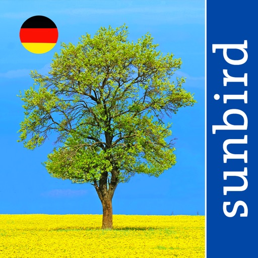 Alle Bäume Deutschland - 1000 Arten bestimmen