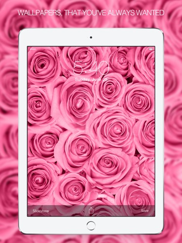 Pink Wallpapers – Pink Background & Pink Picturesのおすすめ画像1