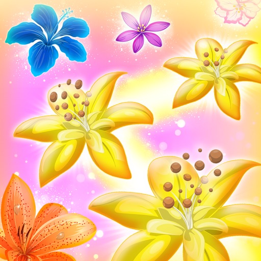 Blossom Star 2016 iOS App