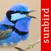 Bird Song Id Australia - Automatic Recognition delete, cancel