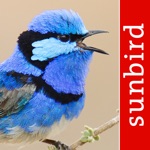 Download Bird Song Id Australia - Automatic Recognition app