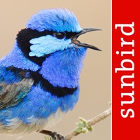 Bird Song Id Australia  logo