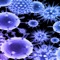 This App selected critically “Virus” Inspired pictures, photography and paintings, all of which are of HD gallery-standard artworks with highest quality