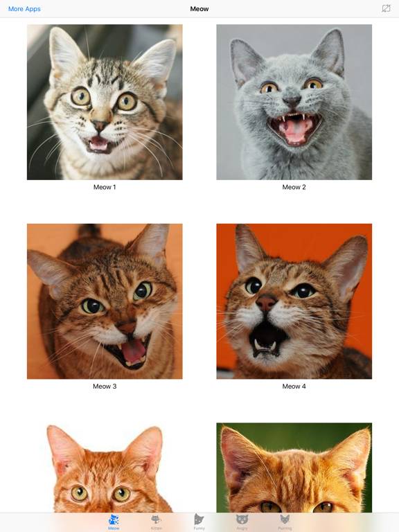 Cat Meow : Prank and troll your pets iPad screenshot