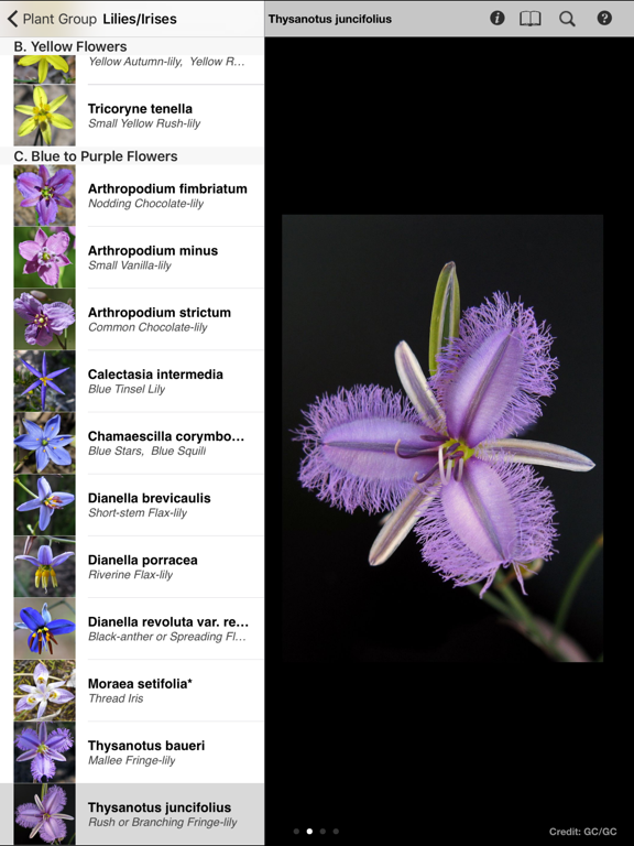 Screenshot #6 pour Mallee Plants of SA and Vic.