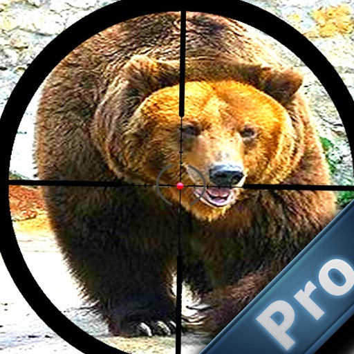 Amazing Bear Pro hunter 2016