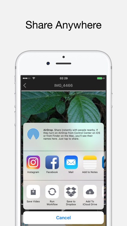 Live to Video: Live Photo for Instagram as Video