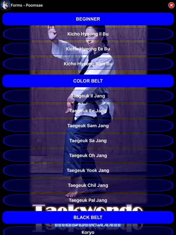 Screenshot #6 pour Taekwondo WTF