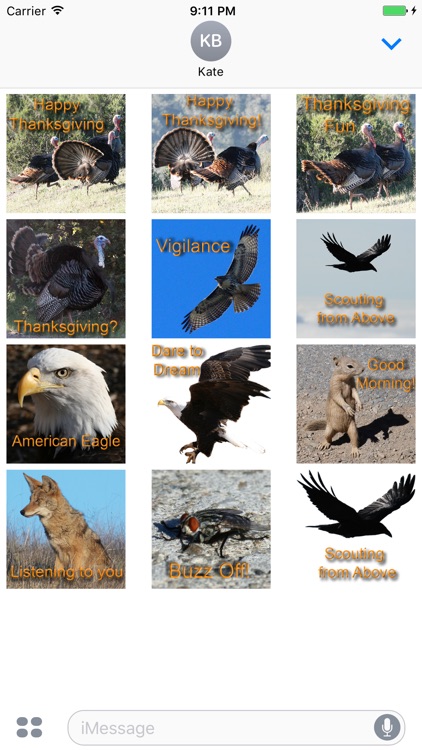 Turkeys