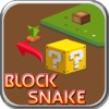 Block Snake Puzzle Game