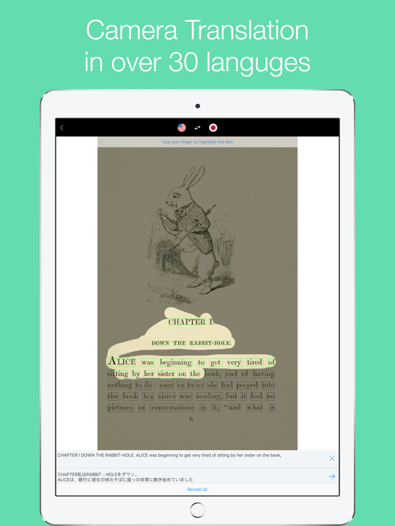 Pocket Translate - for Chinese and 90+ languages iPad screenshot 3 - Reference app