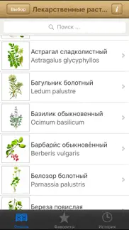 Лекарственные растения айфон картинки 1
