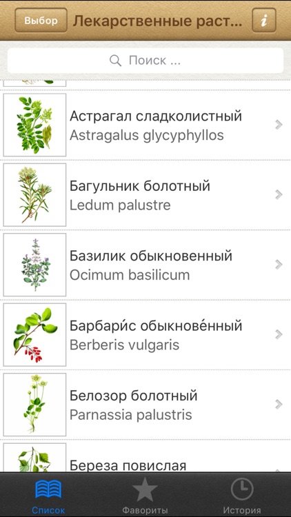 Лекарственные растения