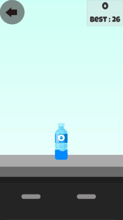 Crazy Bottle Flip Pro 2k17