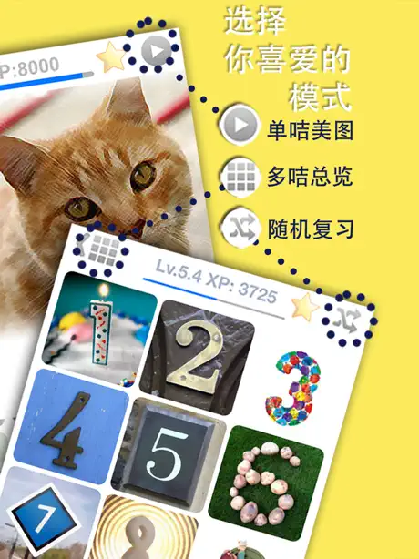 Aprender português com aulas de línguas grátis