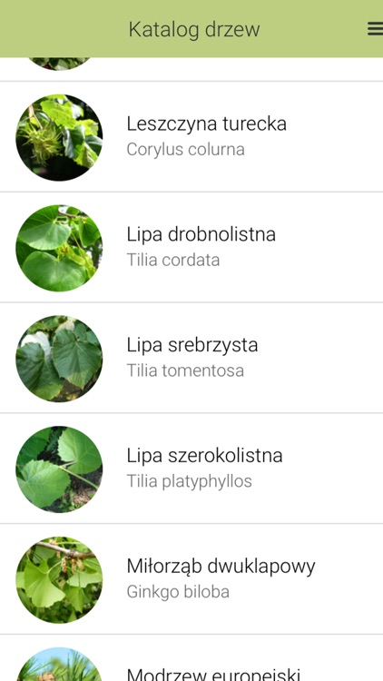 Ptaki i drzewa w mieście screenshot-3