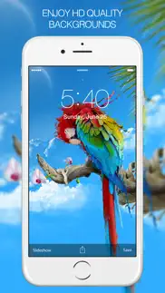color splash wallpapers & splash pictures hd problems & solutions and troubleshooting guide - 3