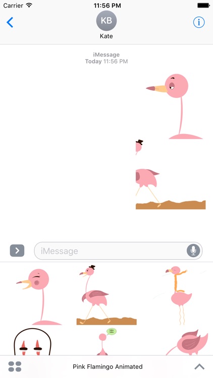 Pink Flamingo Animated